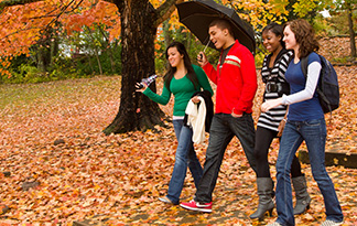 Students walking through fall leaves