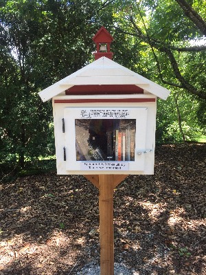 Free mini library on campus