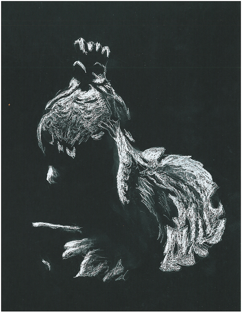 Drawing 1 Sample 