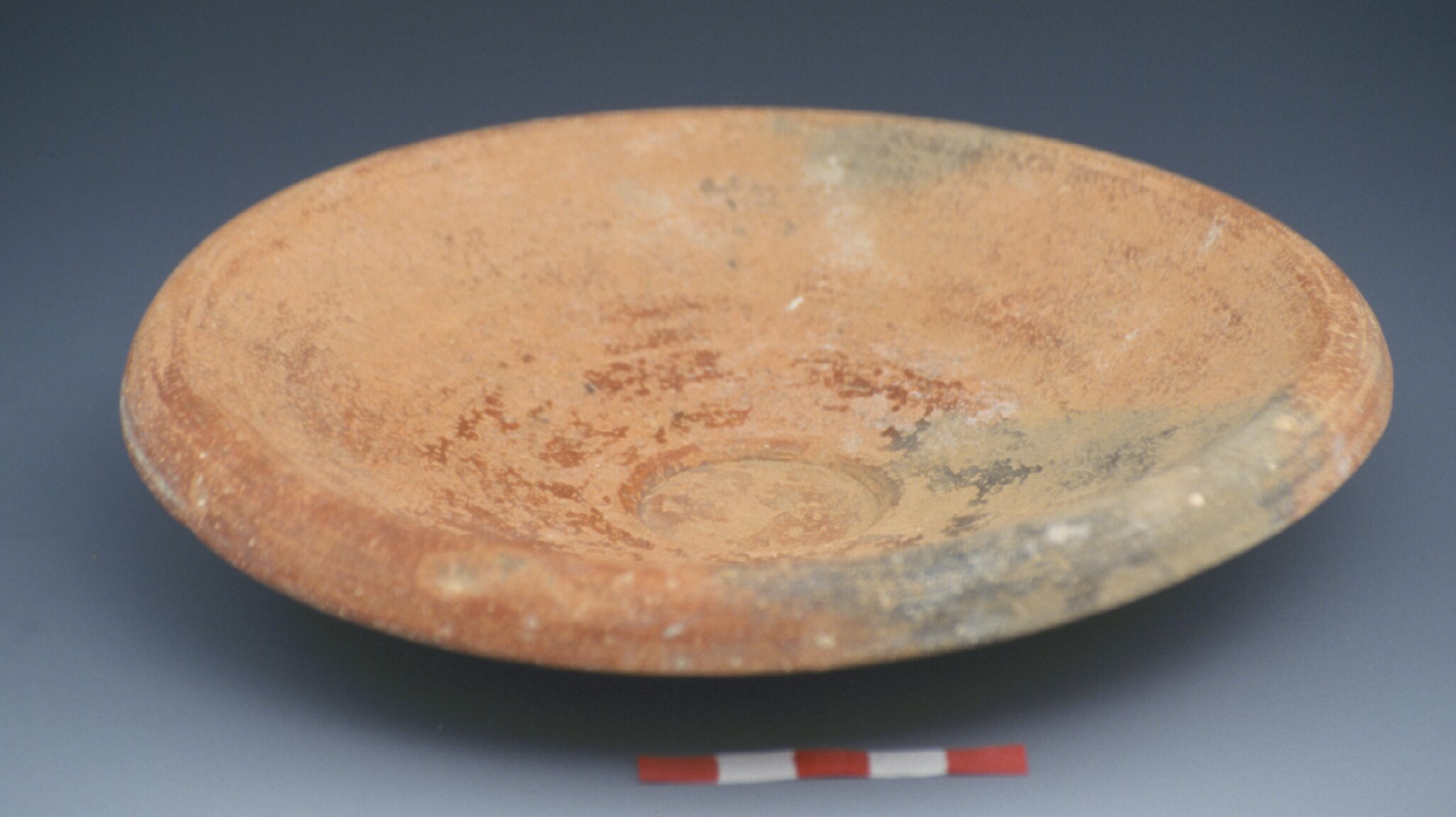 Fish plate