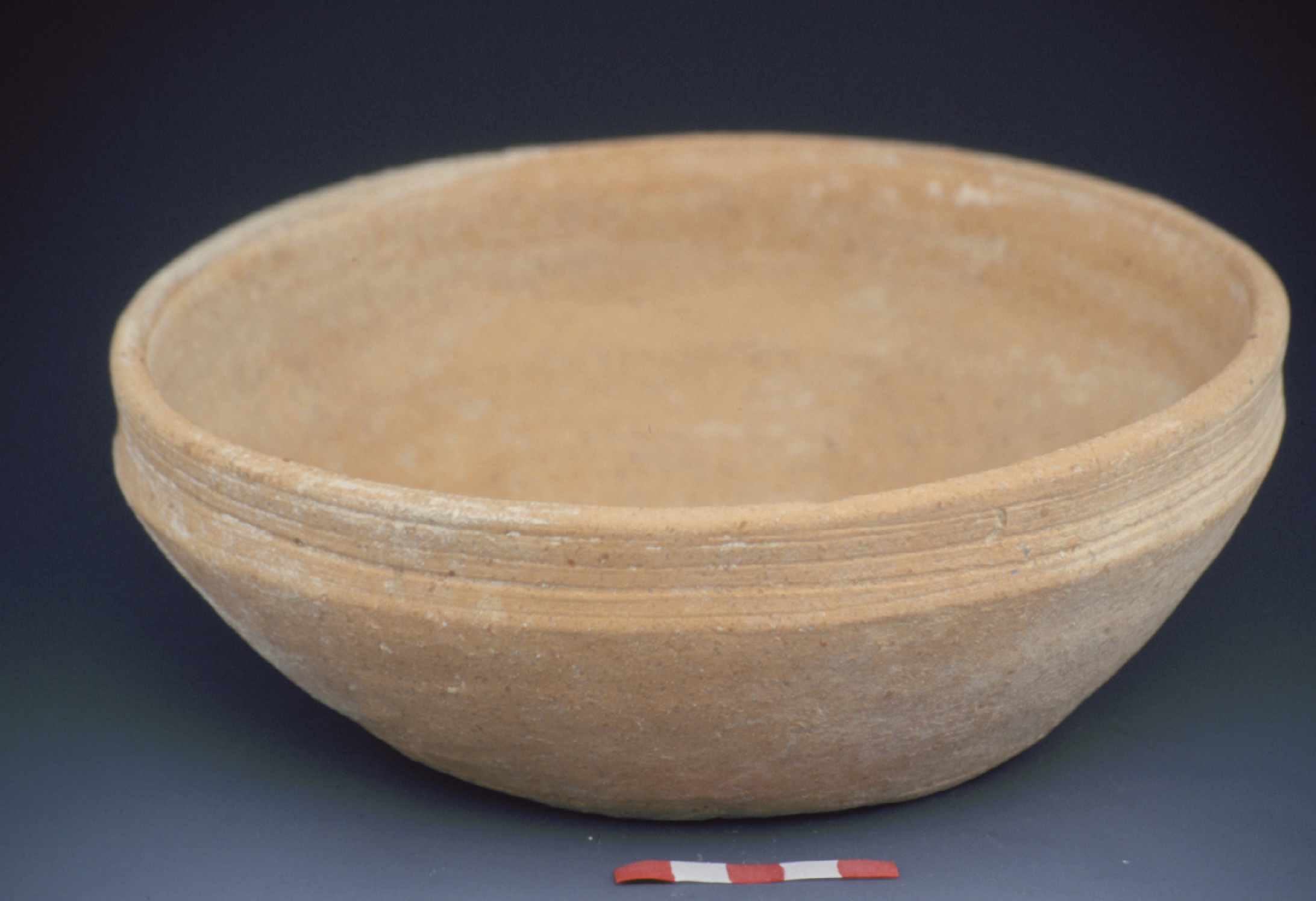 a tan bowl