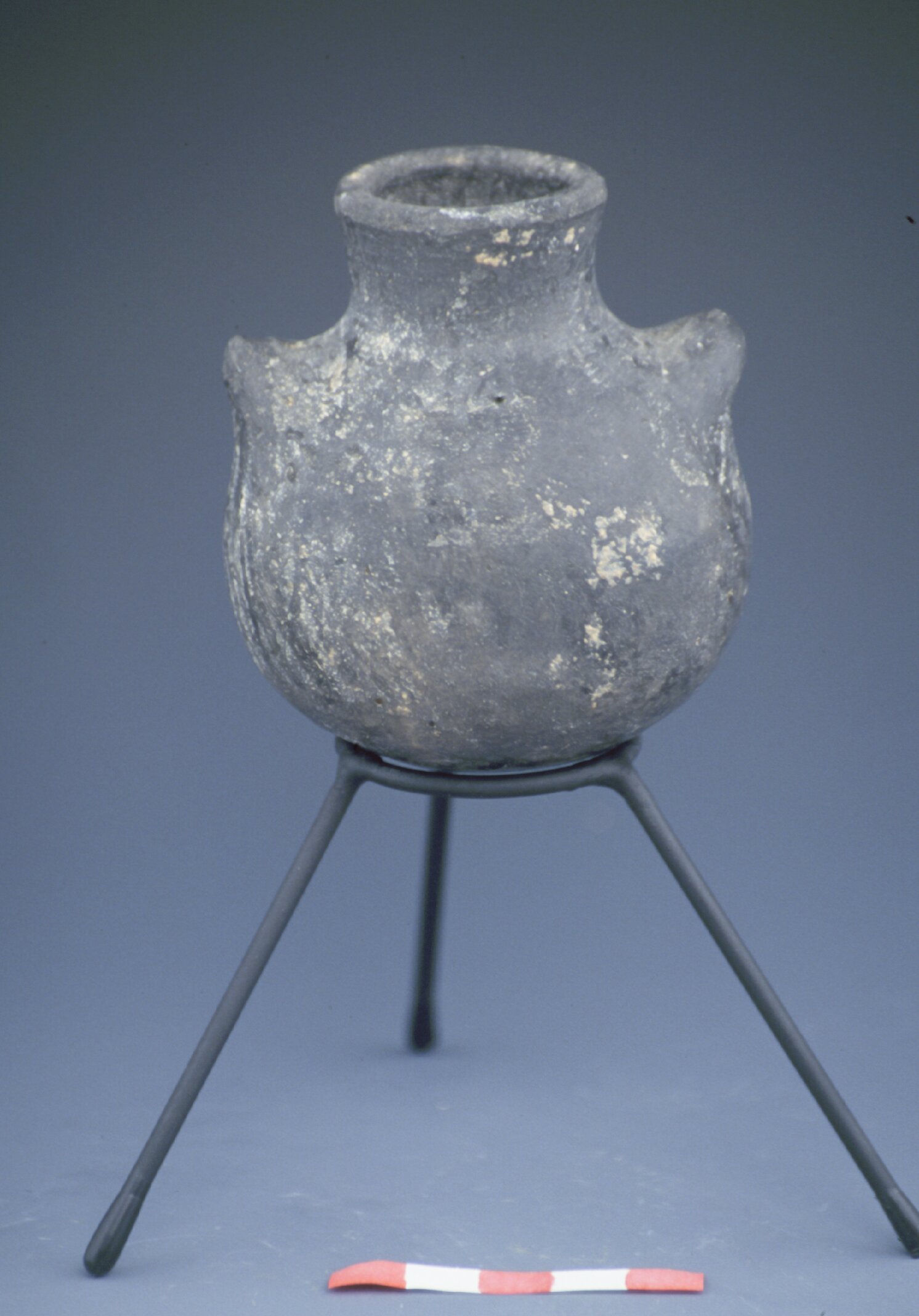 Black burnished juglet/pyksis