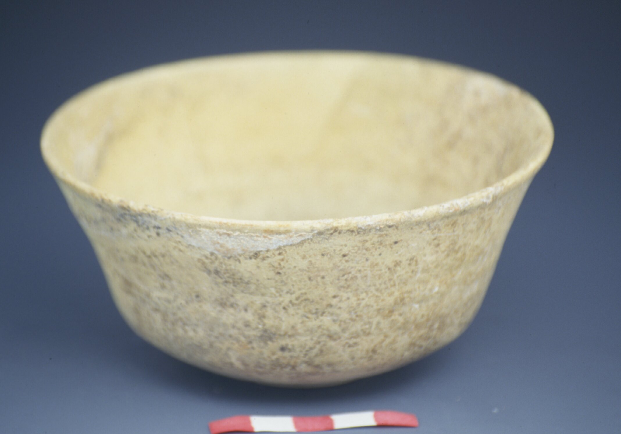 Bowl with metallic buff