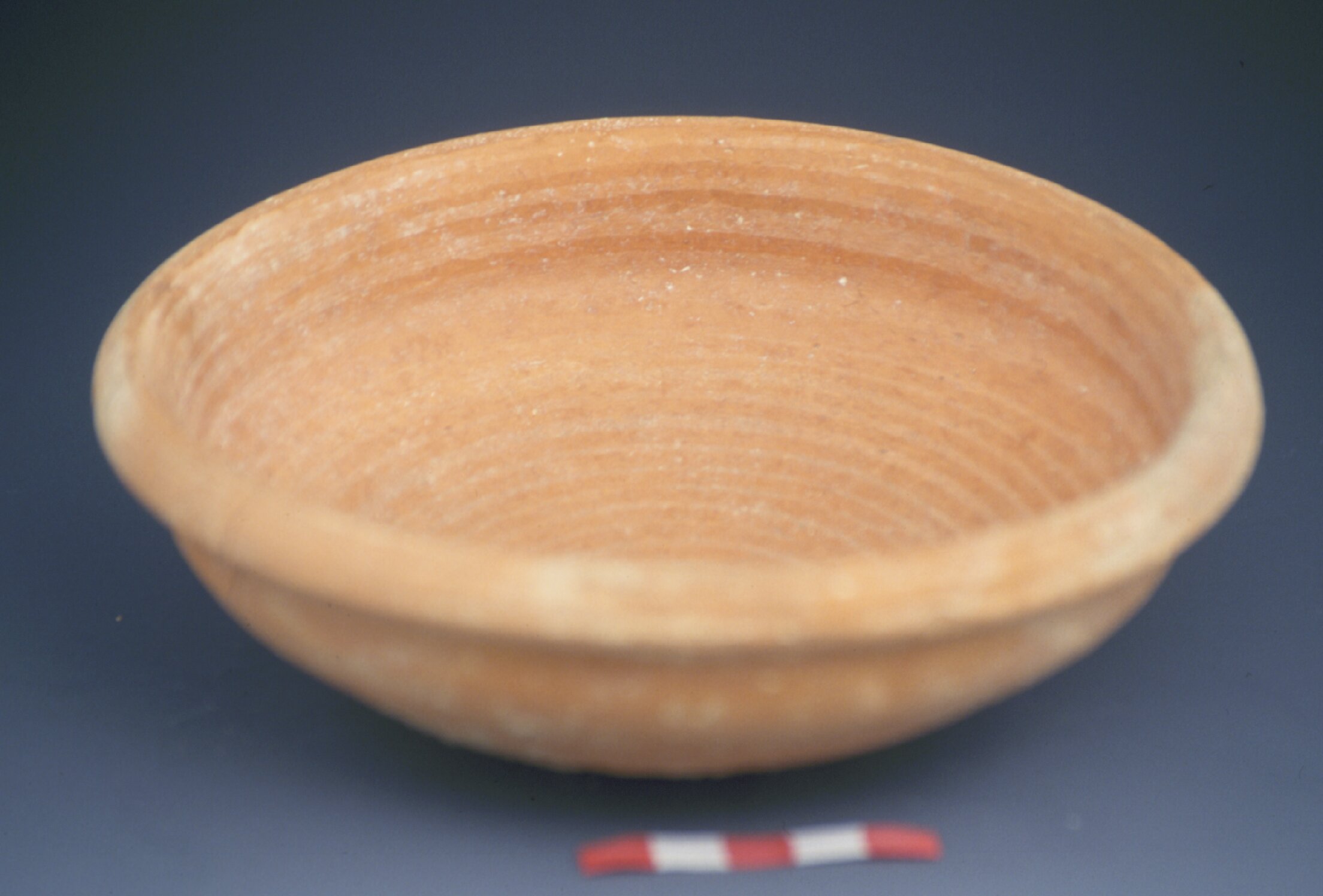 Ring burnished bowl