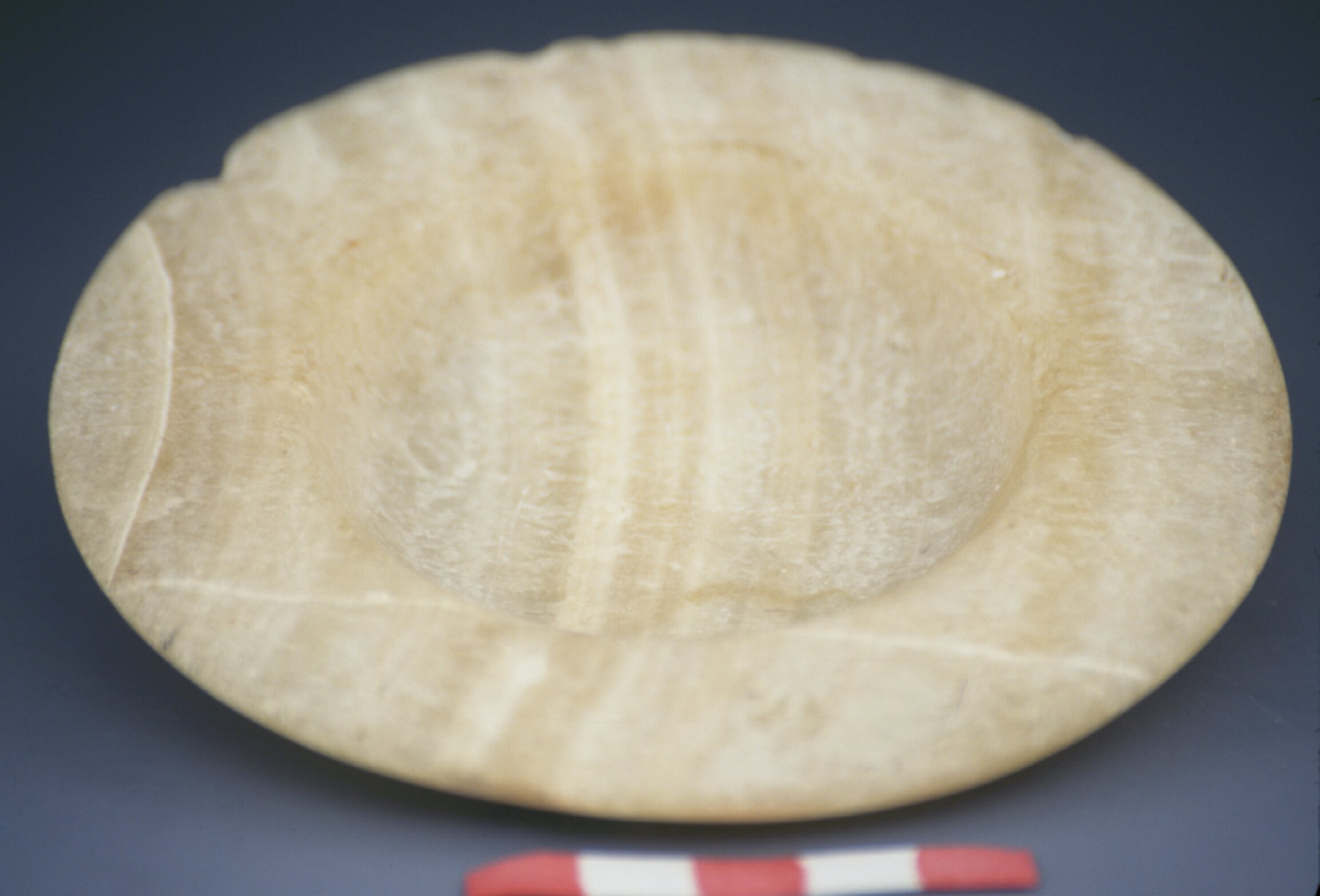 Cosmetic palette