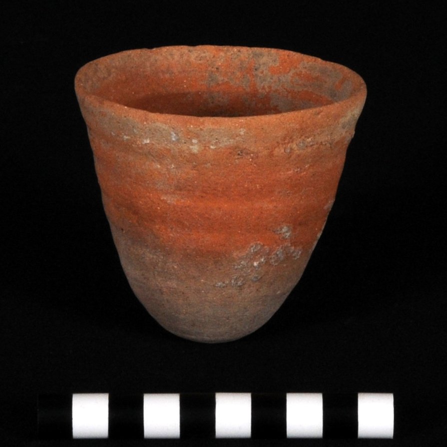 Cup