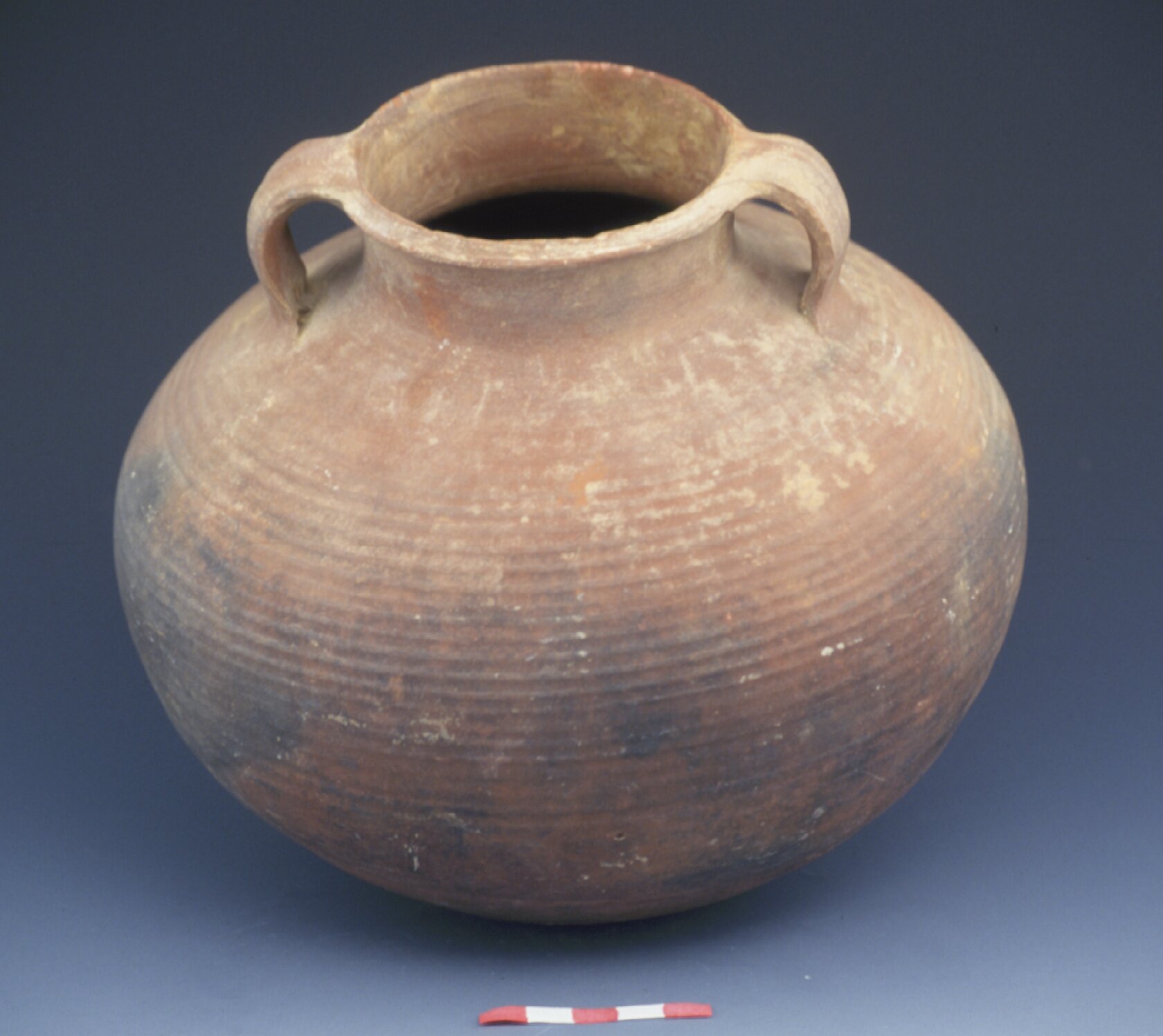 Cooking pot