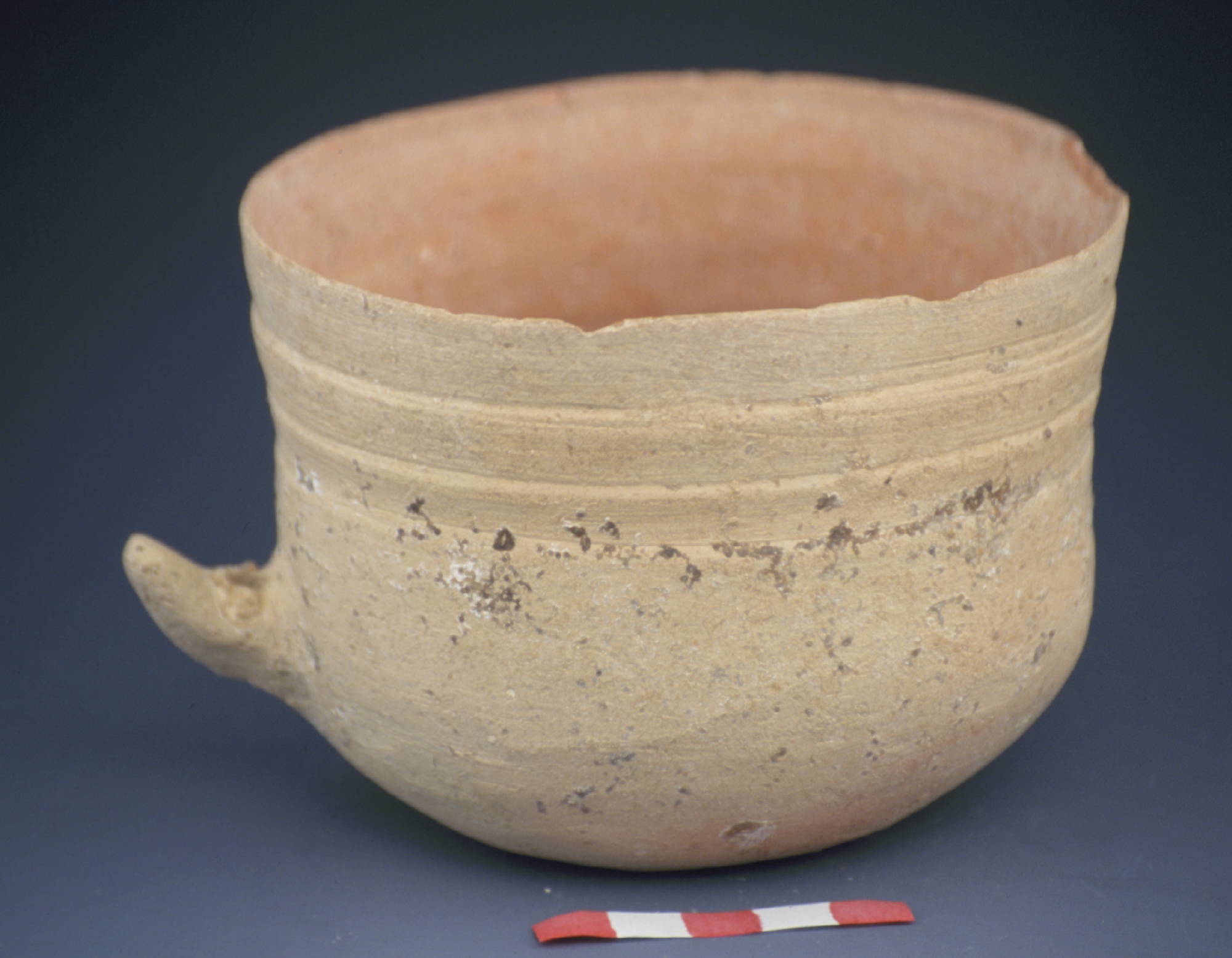 a tan one-handled cup