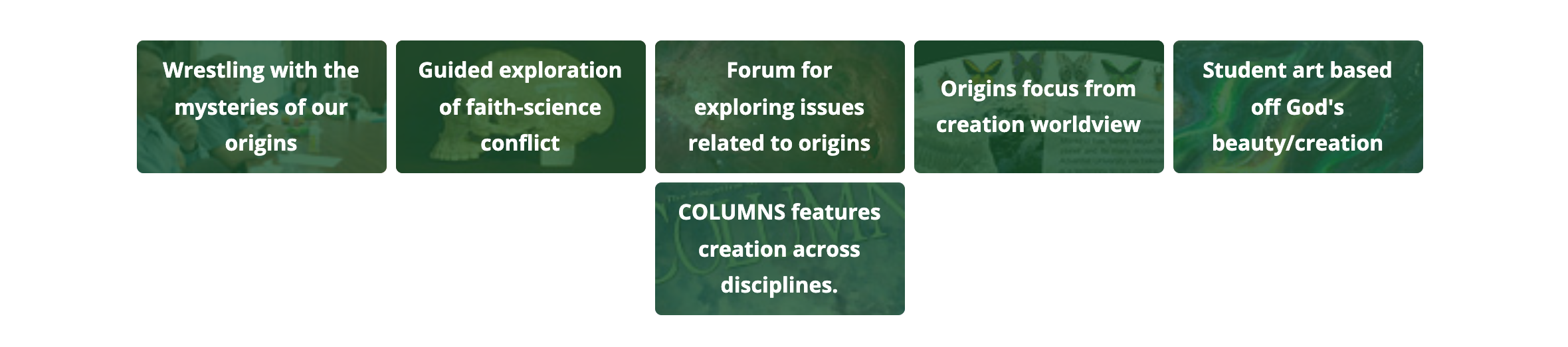 C30 Image Link Grid