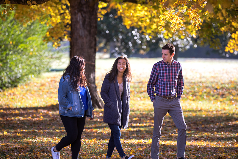 Group of students walking outdoors in the fall