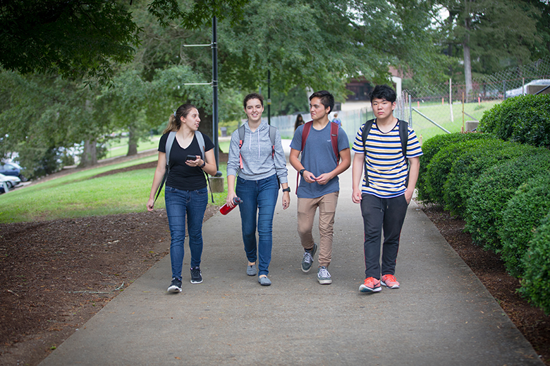 Friend Group Walking