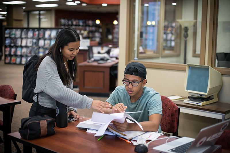Two students studying in a library