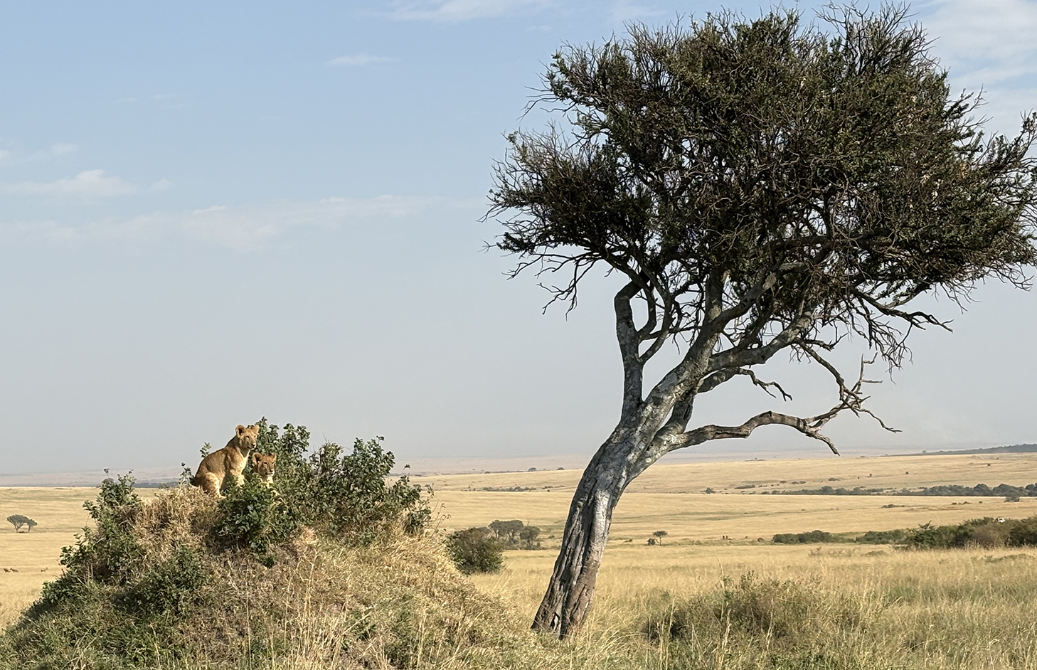 2026 Alumni Mission Trip to Kenya