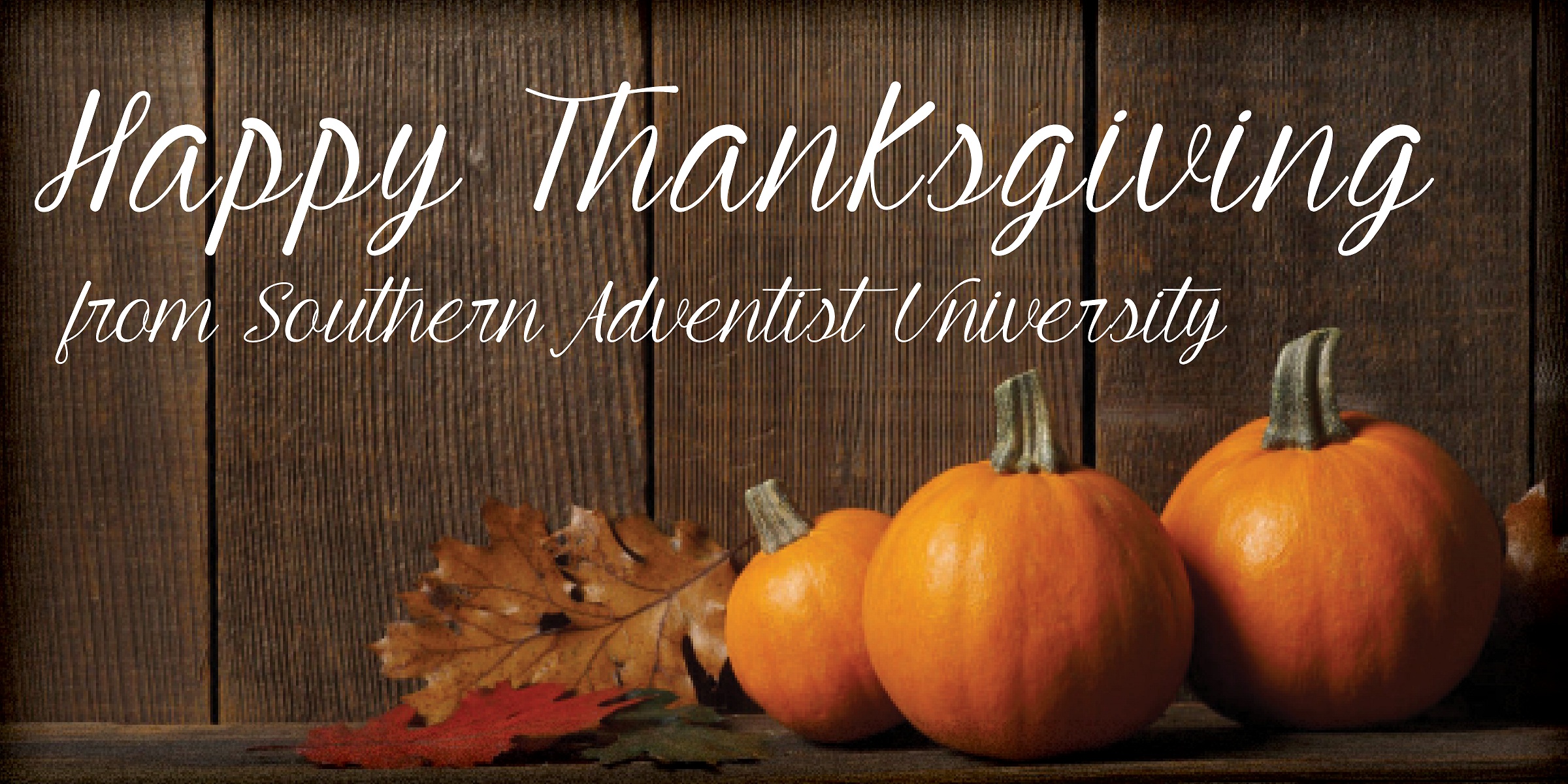 Happy Thanksgiving Poster