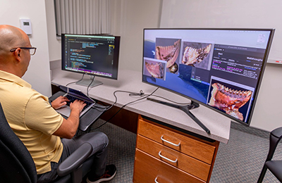 Dinsosaur Work on Computer 