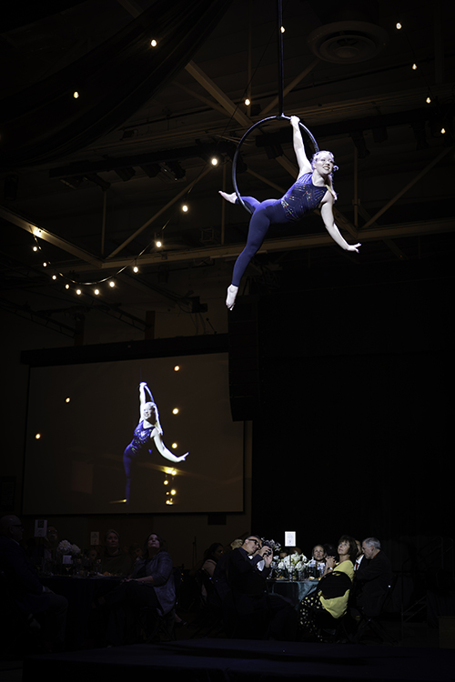 Gymnists at 2026 Southern Gala