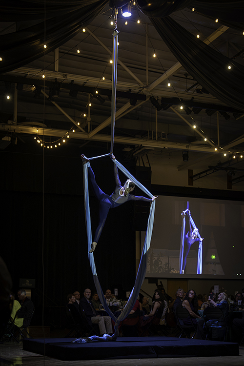 Gymnists at 2026 Southern Gala