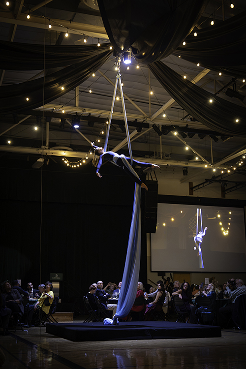 Gymnists at 2026 Southern Gala