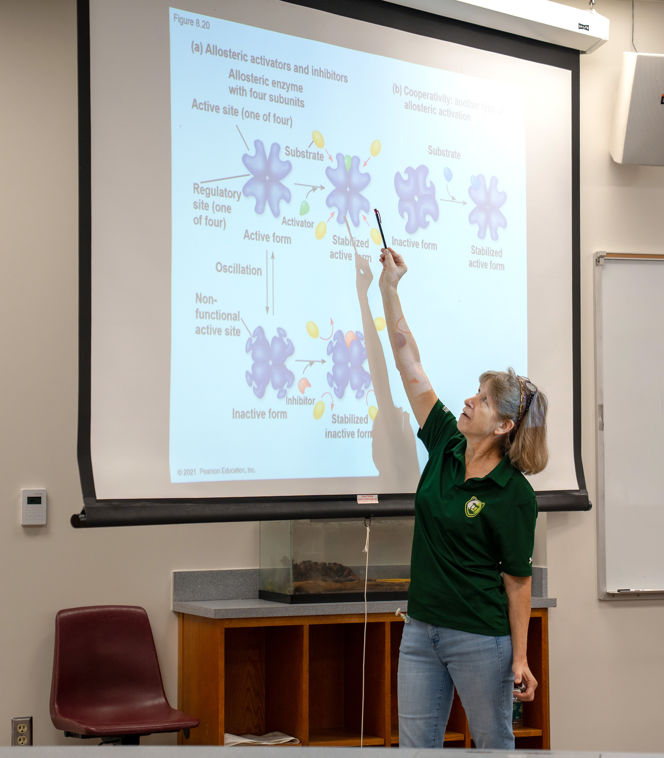 a professor points at a screen