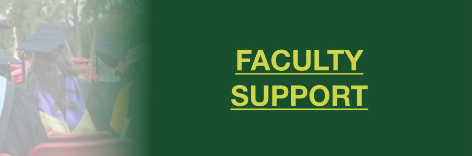 Faculty Support Button
