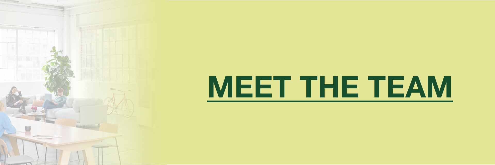 Meet the Team Button