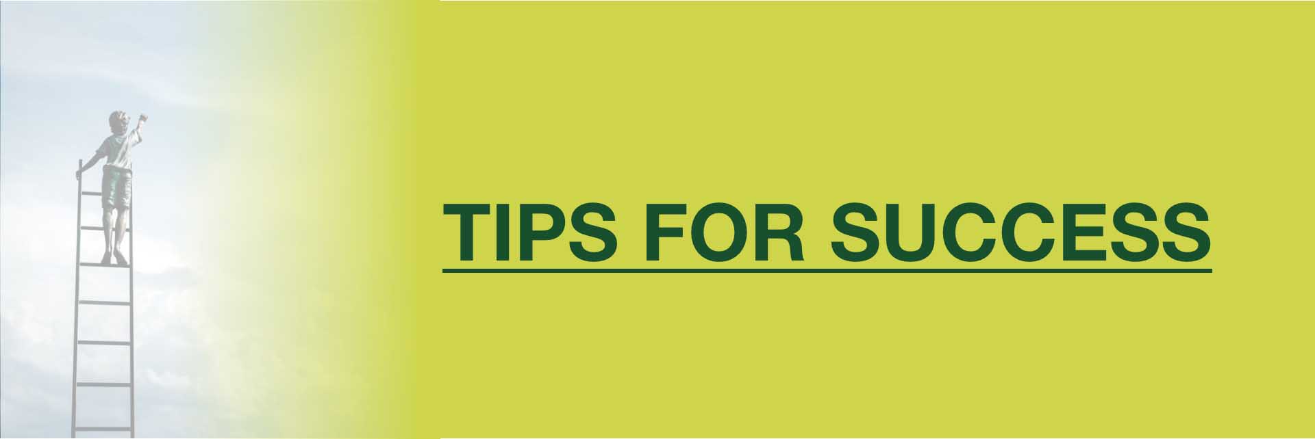 Tips for Success Button