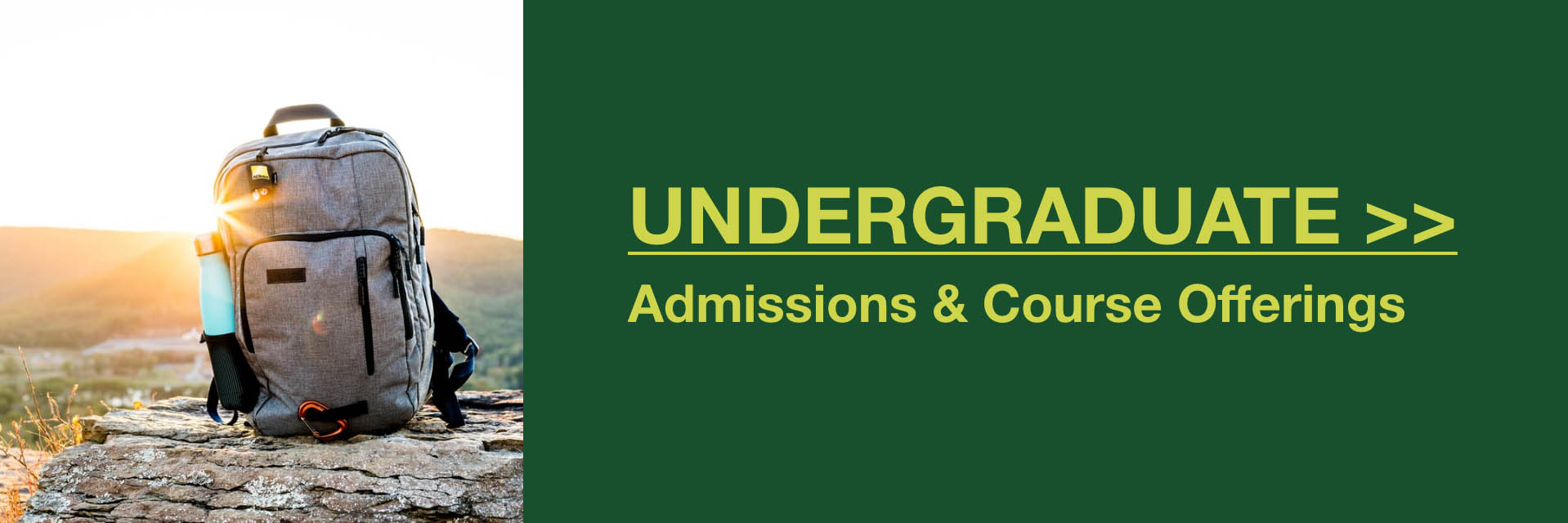 Undergraduate Button