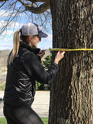 Biology student measures tree